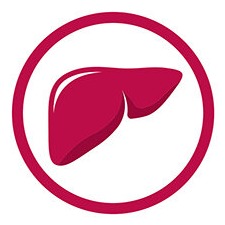 Will Rodgers Liver Health Foundation