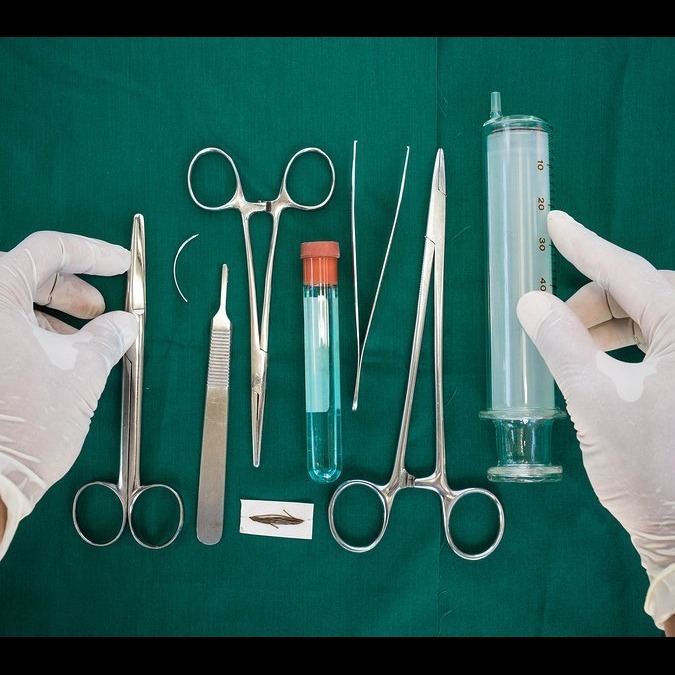 Photo 5 from Animals Staying Alive Inc