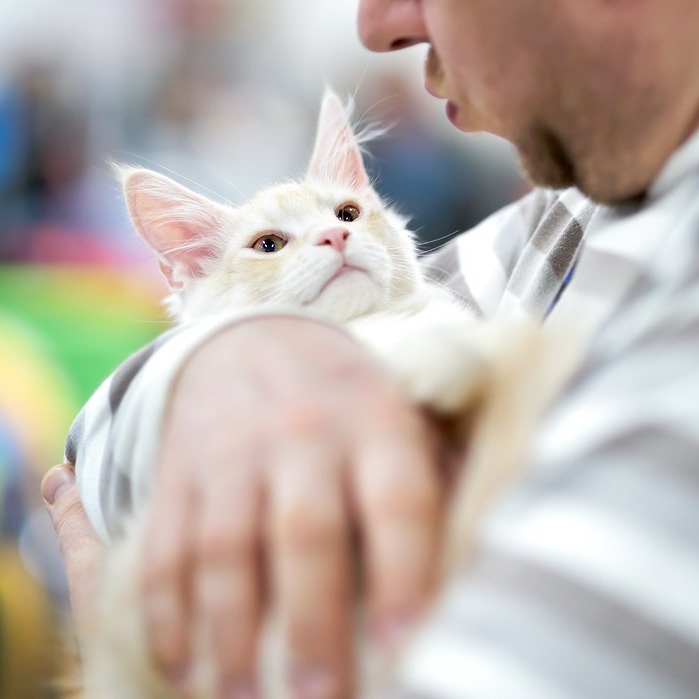 Photo 6 from Animals Staying Alive Inc