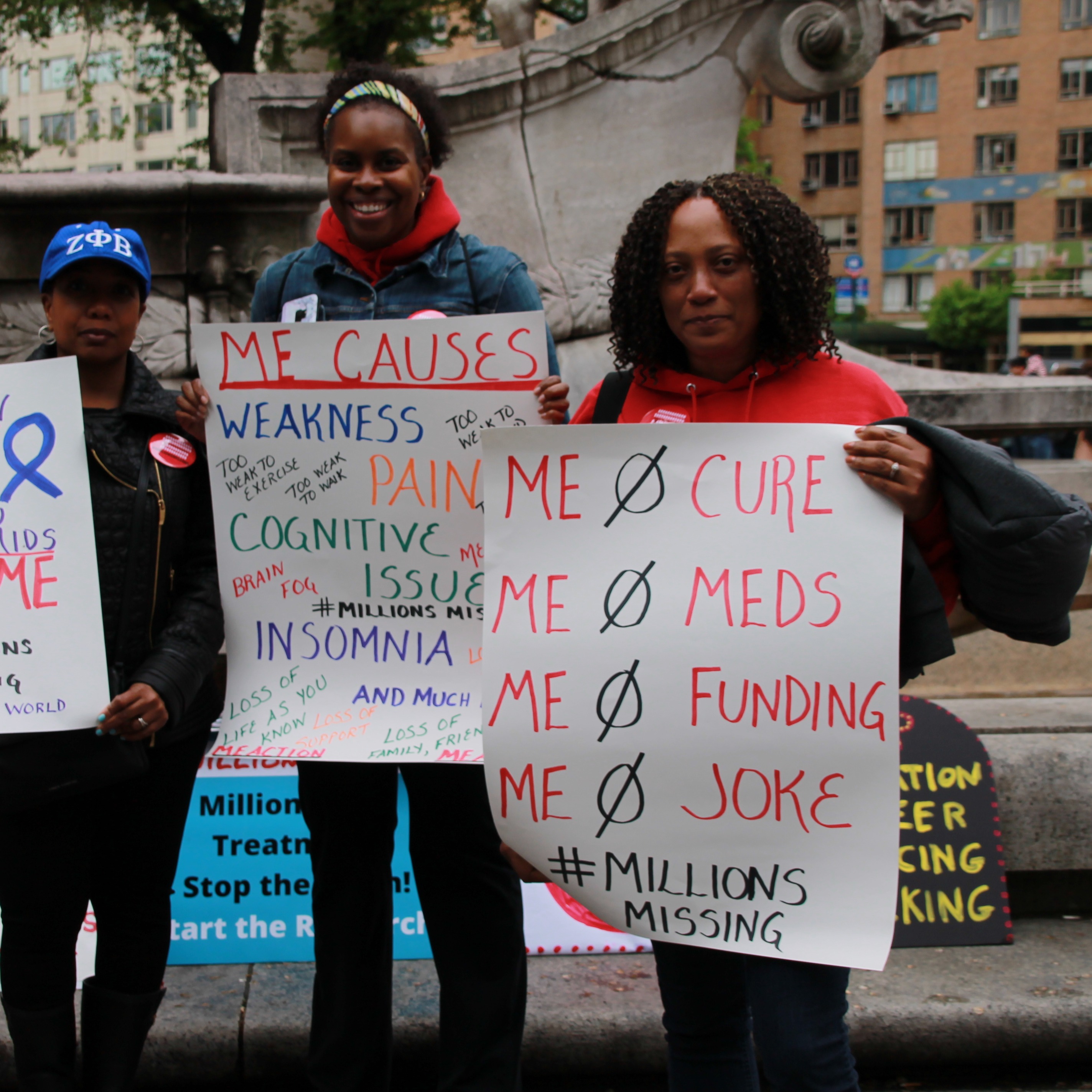 Photo 2 from Myalgic Encephalomyelitis Action Network Inc