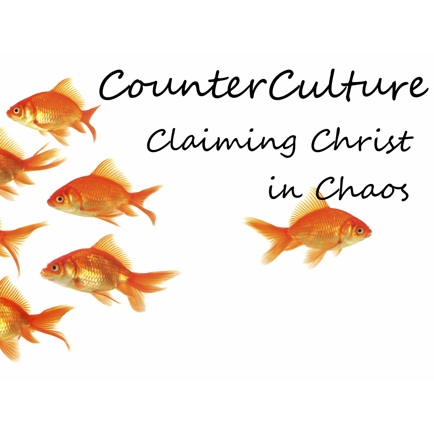 Photo 6 from Sandra Leslie White Ministries