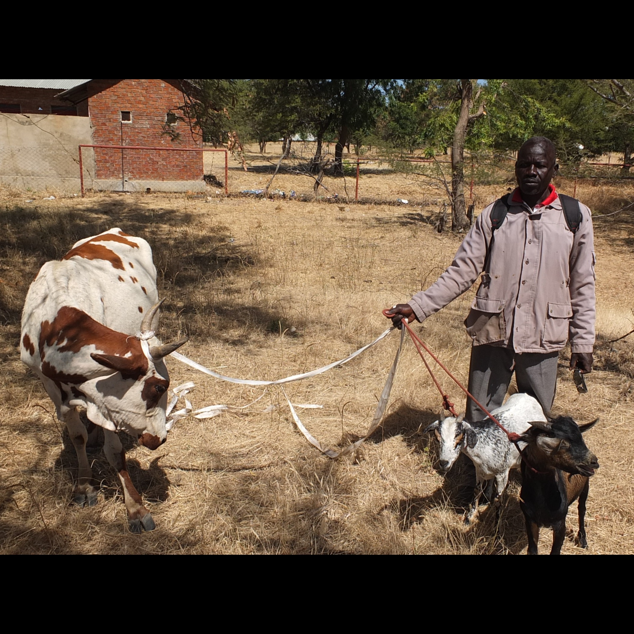 Photo 3 from Persecution Project Foundation