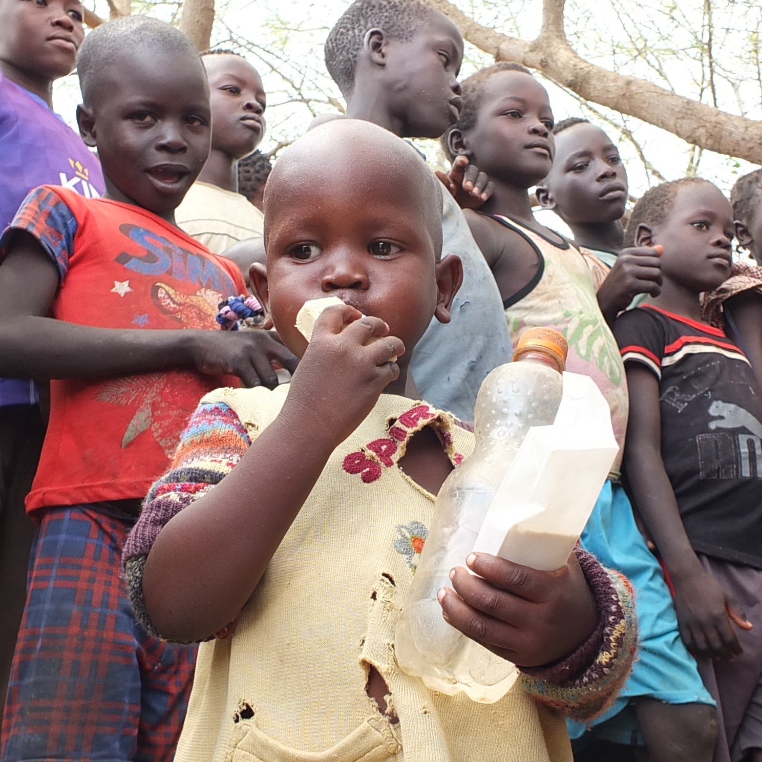 Photo 8 from Persecution Project Foundation