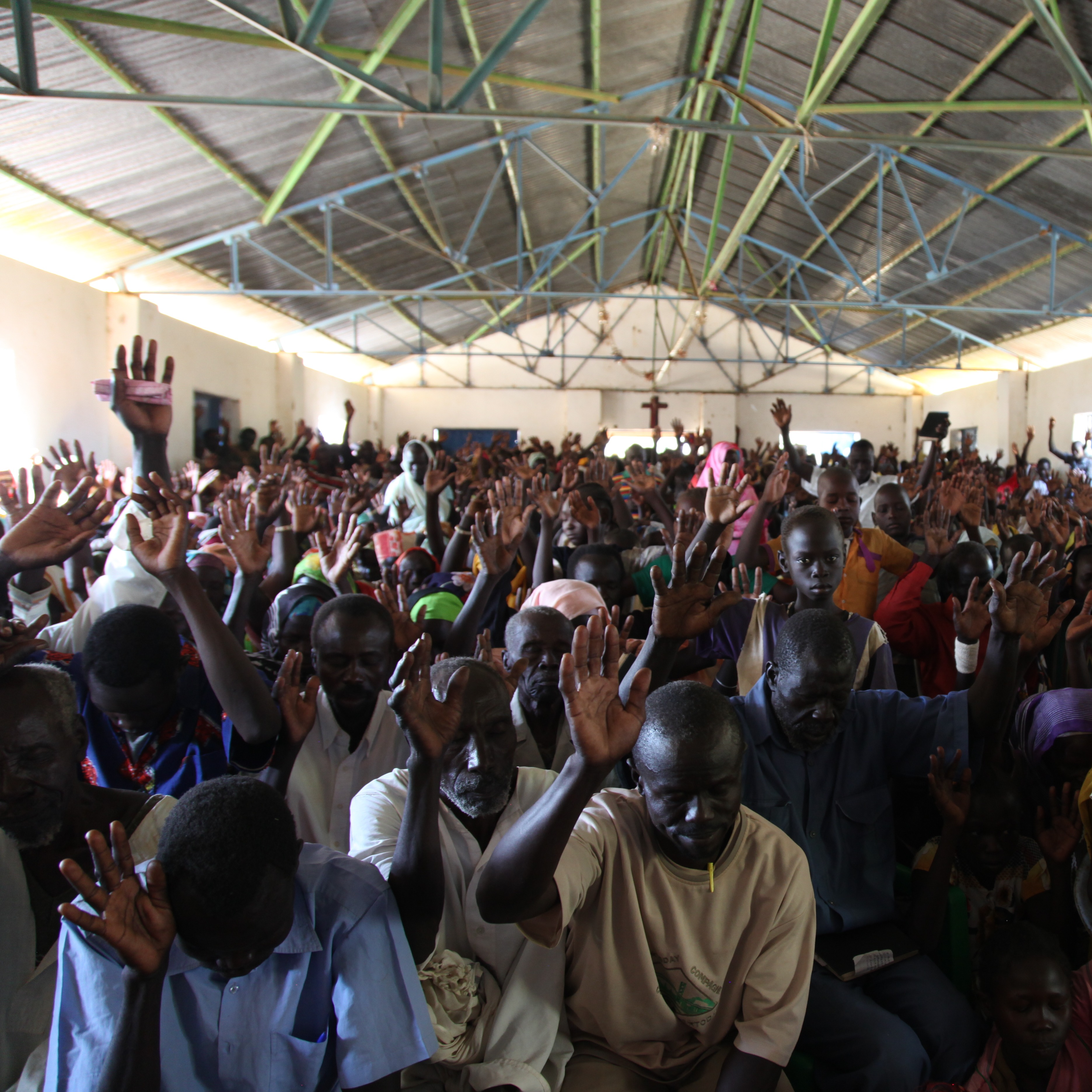 Photo 10 from Persecution Project Foundation