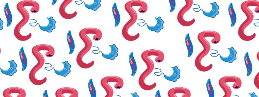 Parasites Without Borders