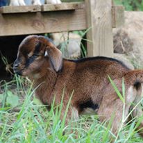 Photo 6 from Heart to Honduras