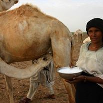 Photo 2 from NOMAD FOUNDATION