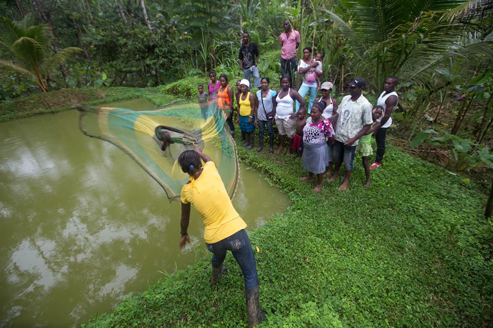 Photo 8 from ACDI/VOCA