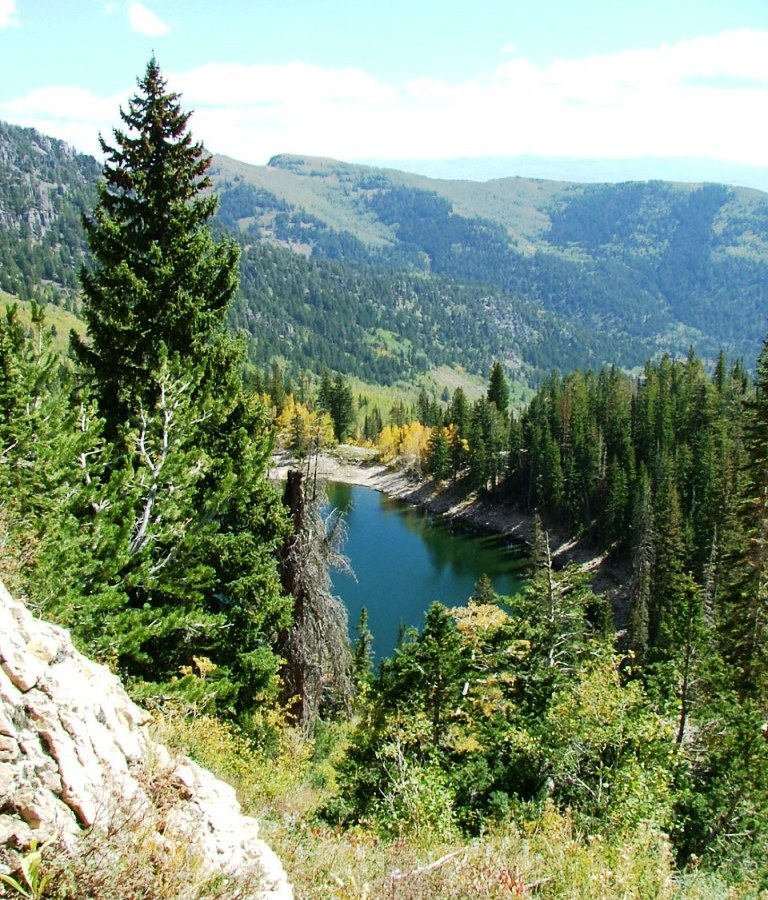 Photo 5 from TreeUtah