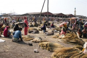 Photo 5 from HOPE ARISING INC