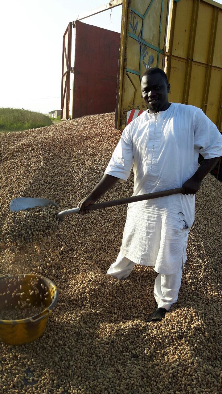 Photo 13 from Cisse Niass Project