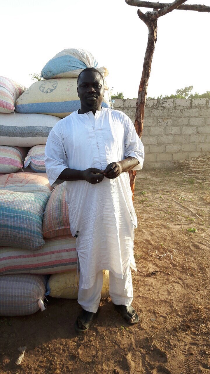 Photo 15 from Cisse Niass Project