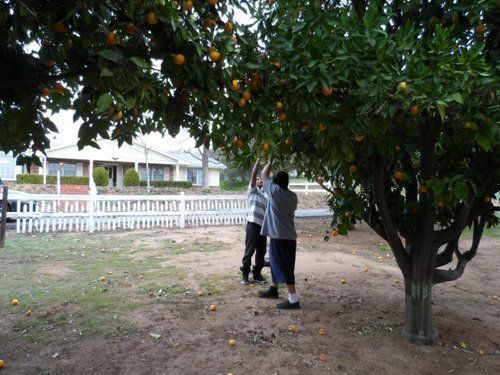 Photo 3 from California Family Life Center