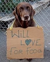 Photo 1 from Georgia Animal Project