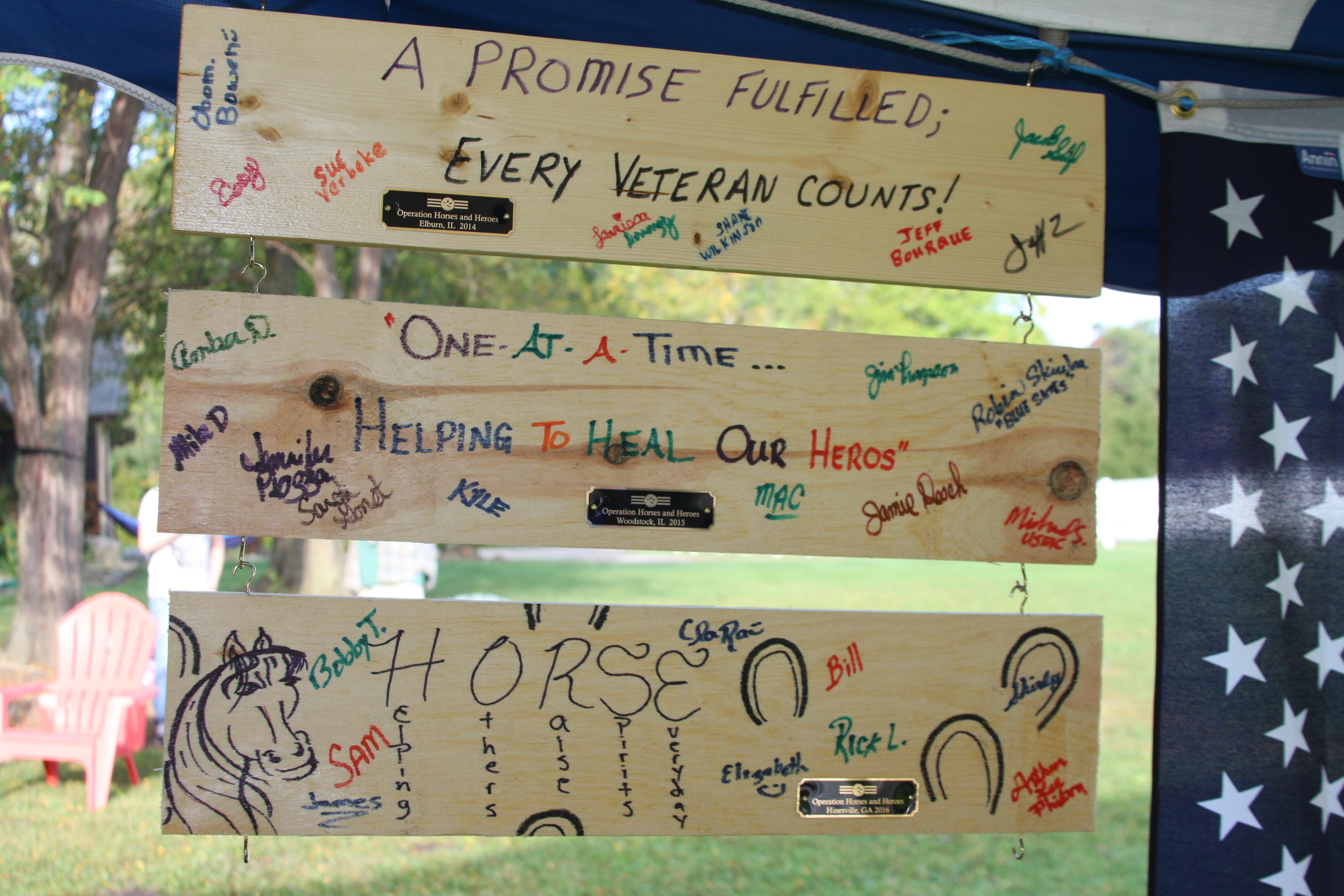 Photo 11 from Operation Horses and Heroes