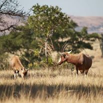 Photo 8 from Advocates for Africas Children, Inc.