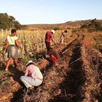 Photo 7 from Advocates for Africas Children, Inc.