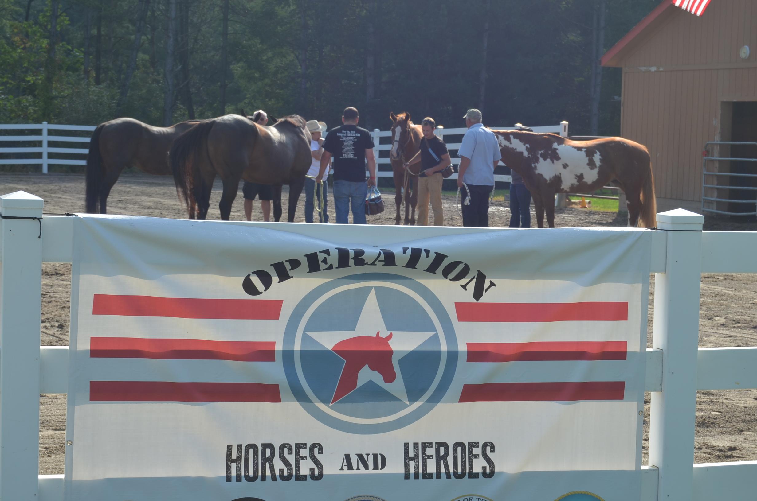 Photo 5 from Operation Horses and Heroes