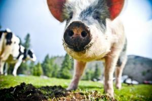 Photo 7 from Sanctuary One