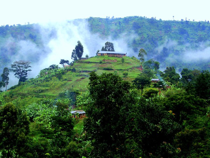 Photo 2 from Help International