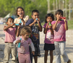 Photo 4 from Strategic Alliance