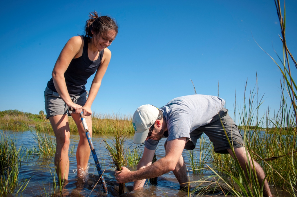 Photo 1 from RESTORE AMERICA'S ESTUARIES