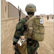 Photo 4 from TRUST IN EDUCATION