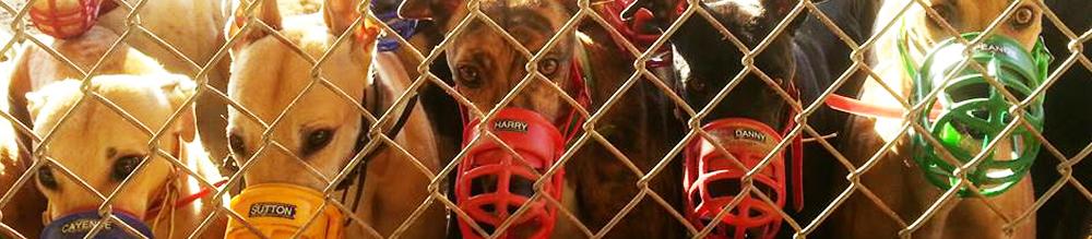 GREY2K USA Worldwide