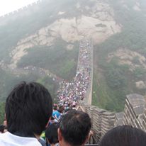 Photo 5 from INTO THE FIELD