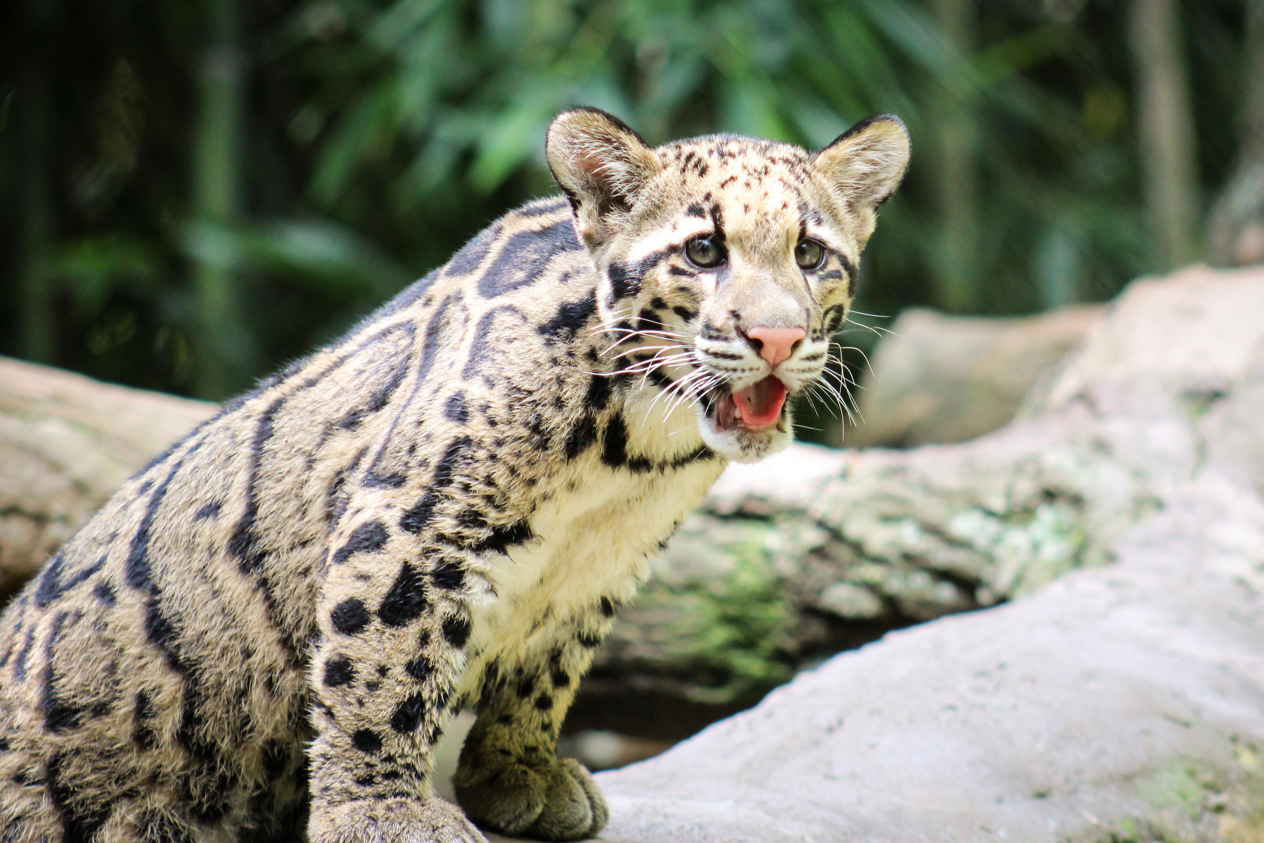 Photo 2 from Nashville Zoo