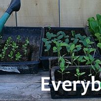 Photo 10 from GARDENSHARE INC