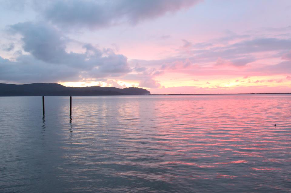 Photo 3 from TILLAMOOK ESTUARIES PARTNERSHIP