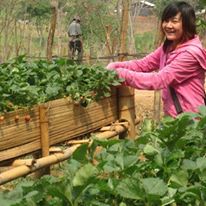 Photo 7 from LEGACY INSTITUTE