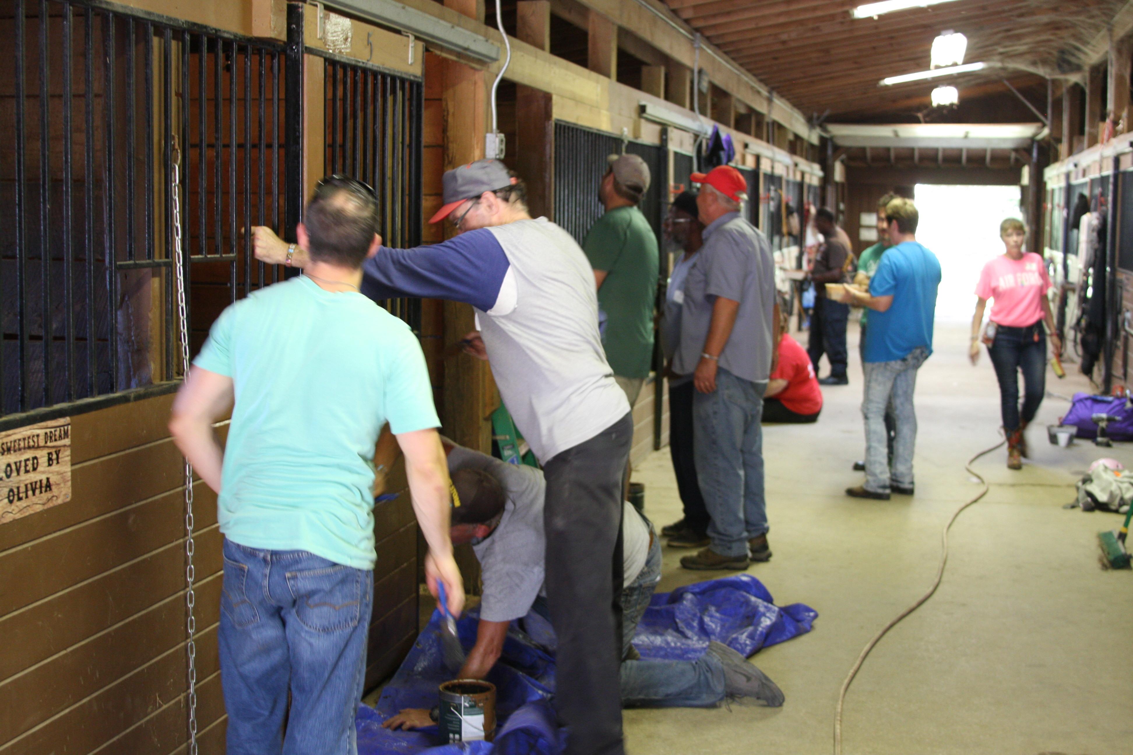 Photo 12 from Operation Horses and Heroes