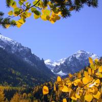 Photo 5 from TELLURIDE SCIENCE RESEARCH CENTER (TSRC)