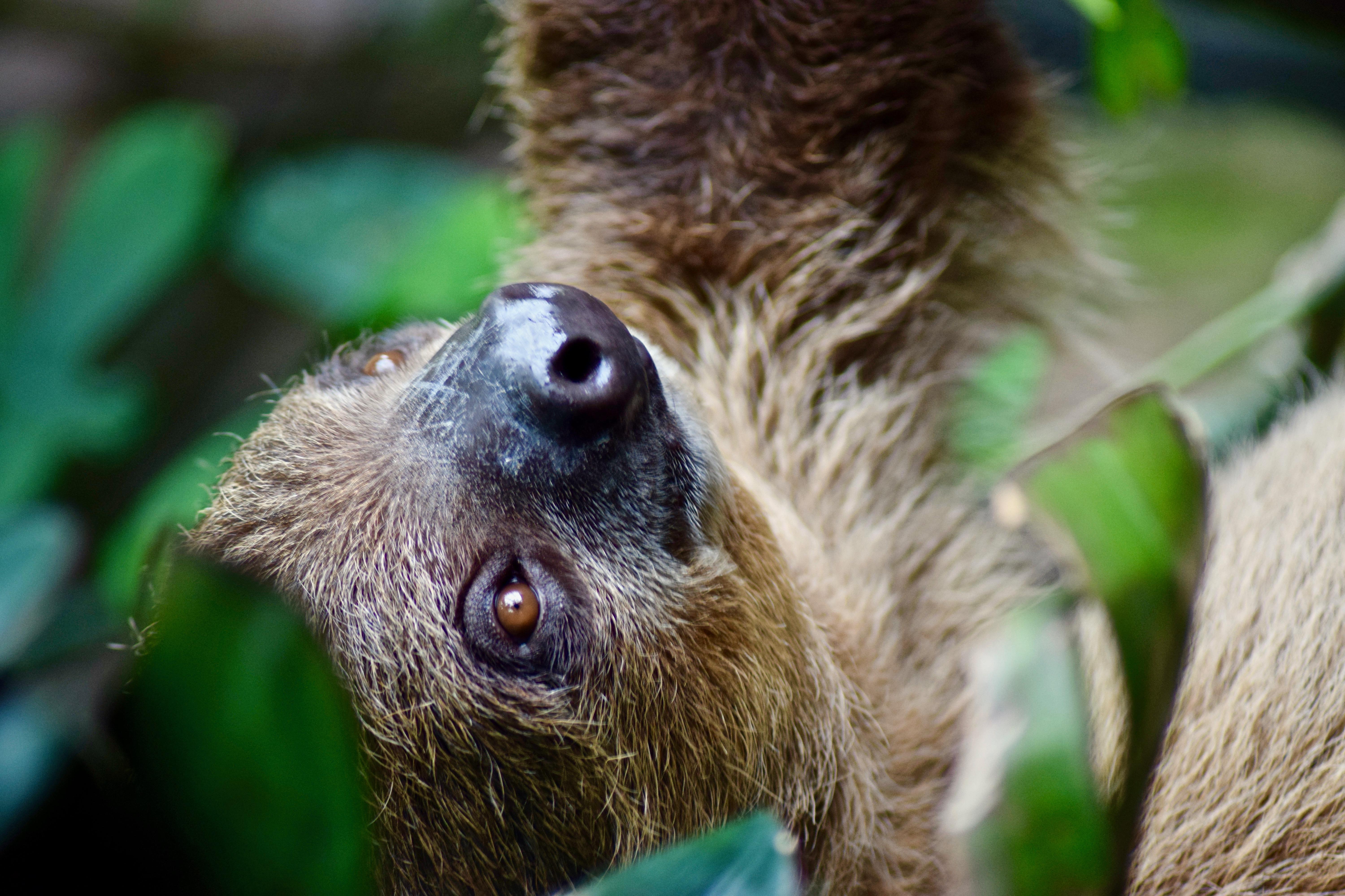 Photo 9 from Nashville Zoo