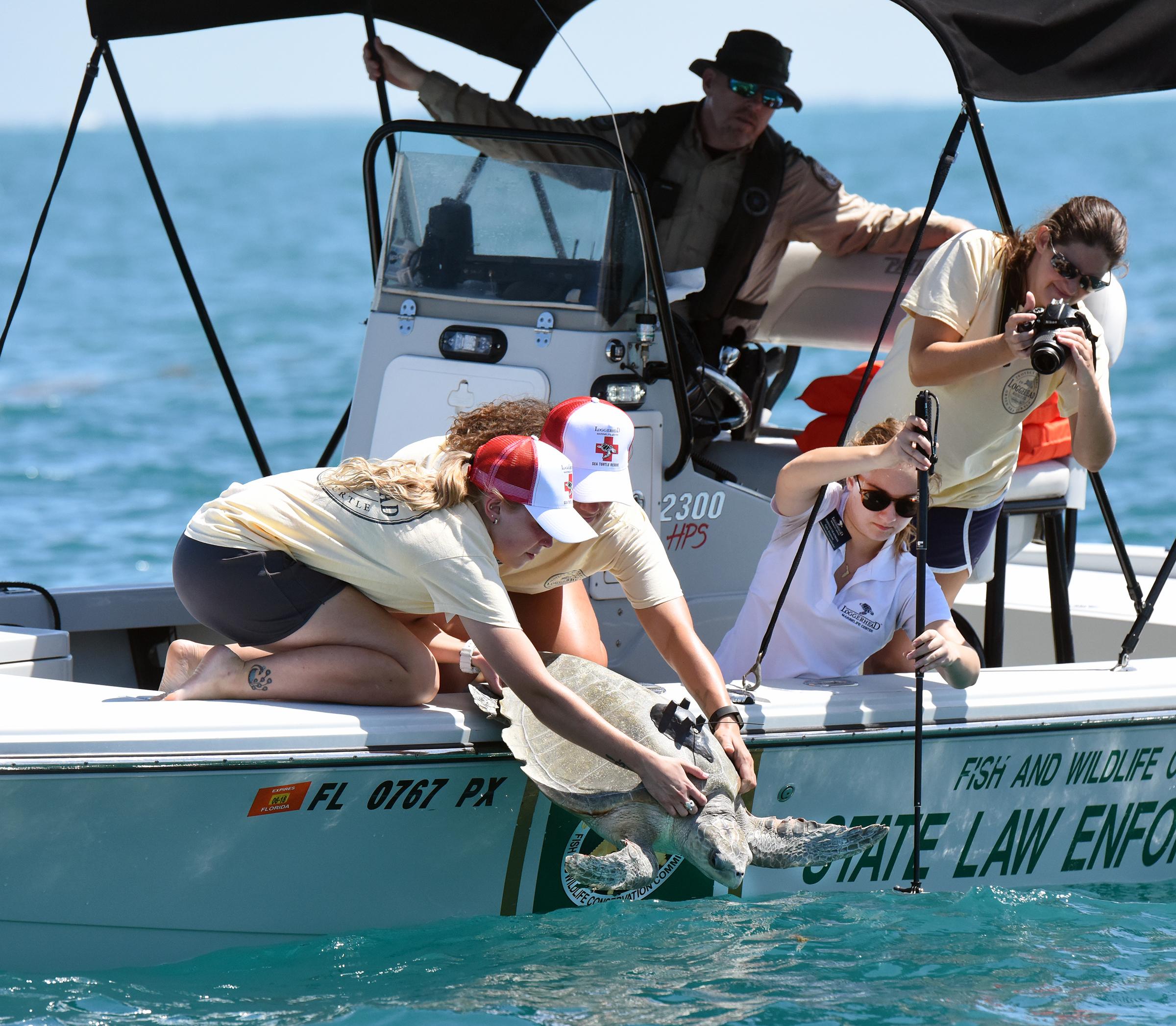 Photo 1 from Loggerhead Marinelife Center