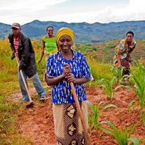 Photo 4 from EcoAgriculture Partners