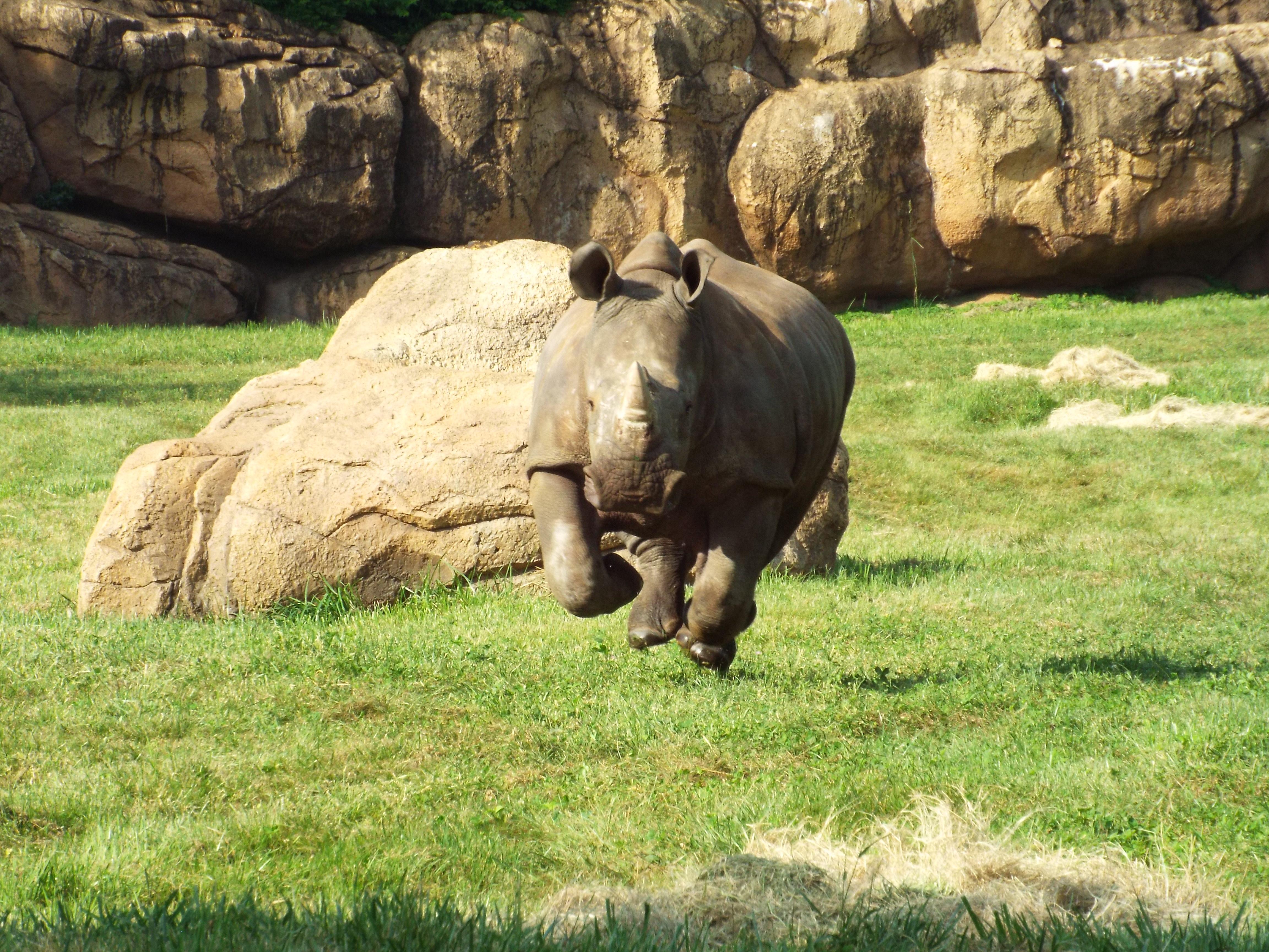 Photo 4 from Nashville Zoo