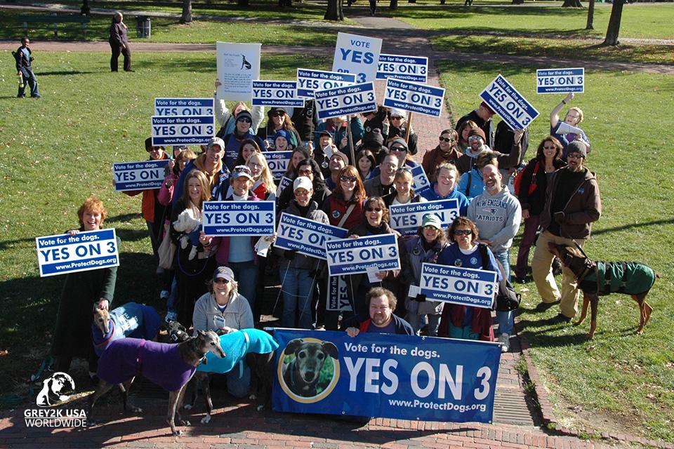 Photo 4 from GREY2K USA Worldwide