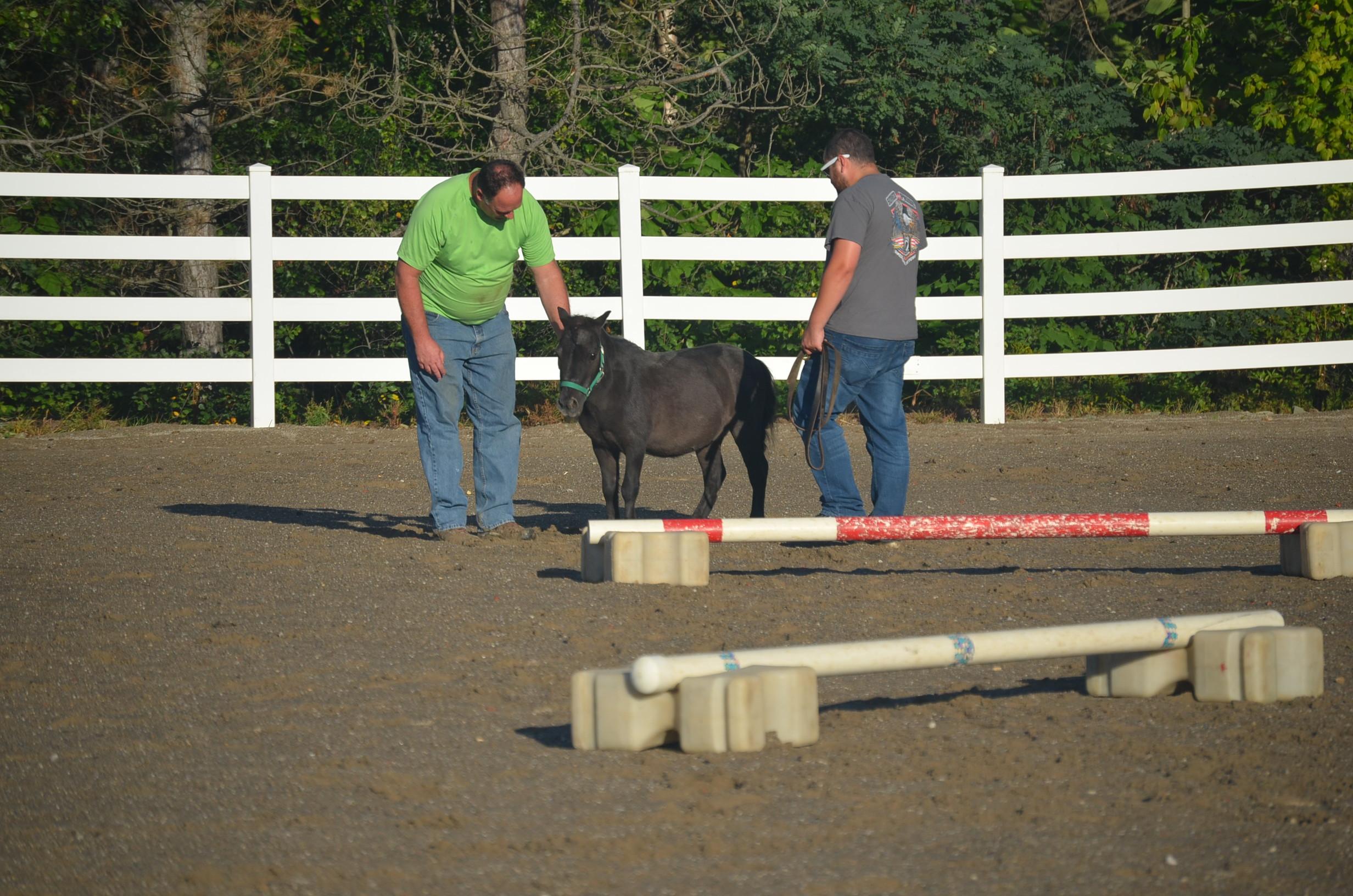 Photo 4 from Operation Horses and Heroes