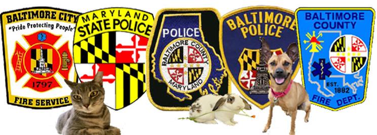 Photo 2 from HappyHubz, Inc.