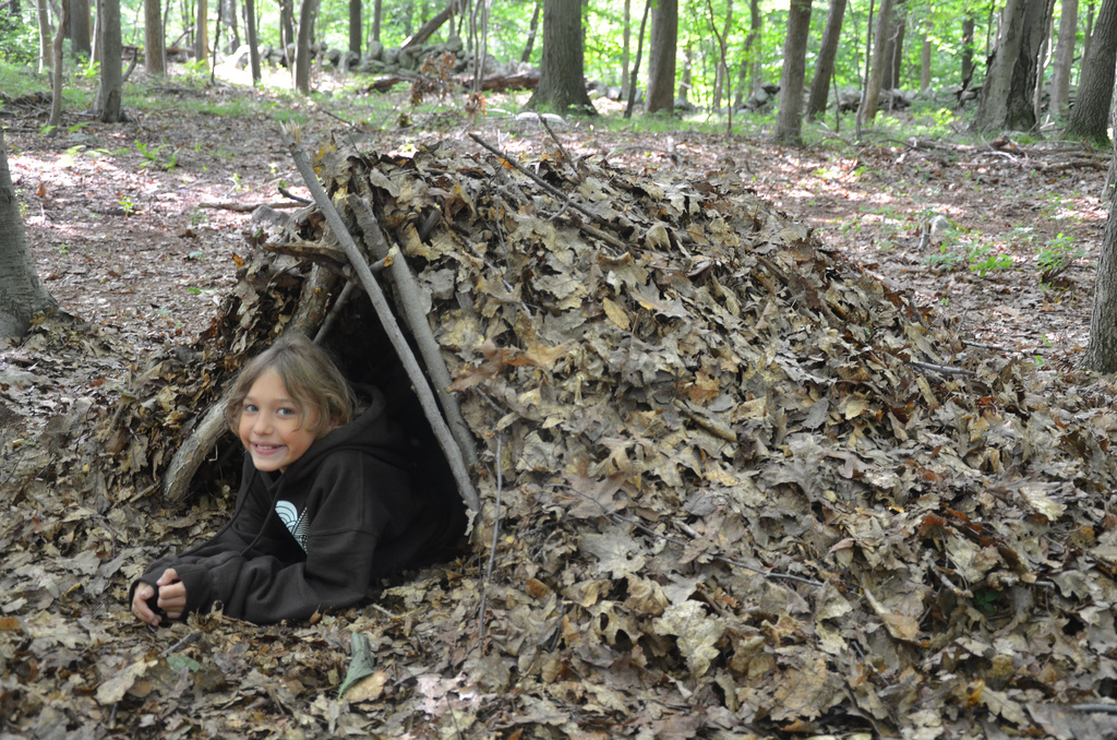 Photo 3 from Children of the Earth Foundation