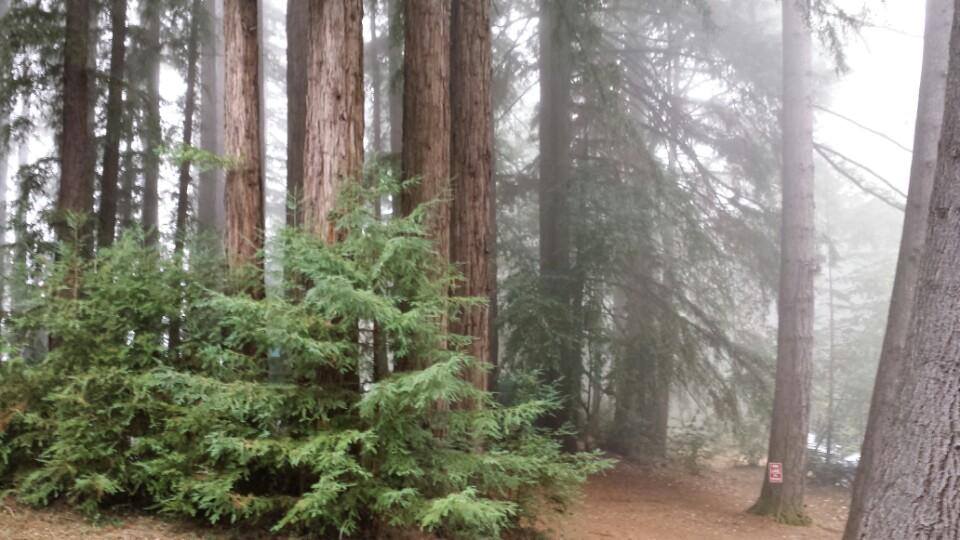 Photo 6 from WILDWOOD CONSERVATION FOUNDATION