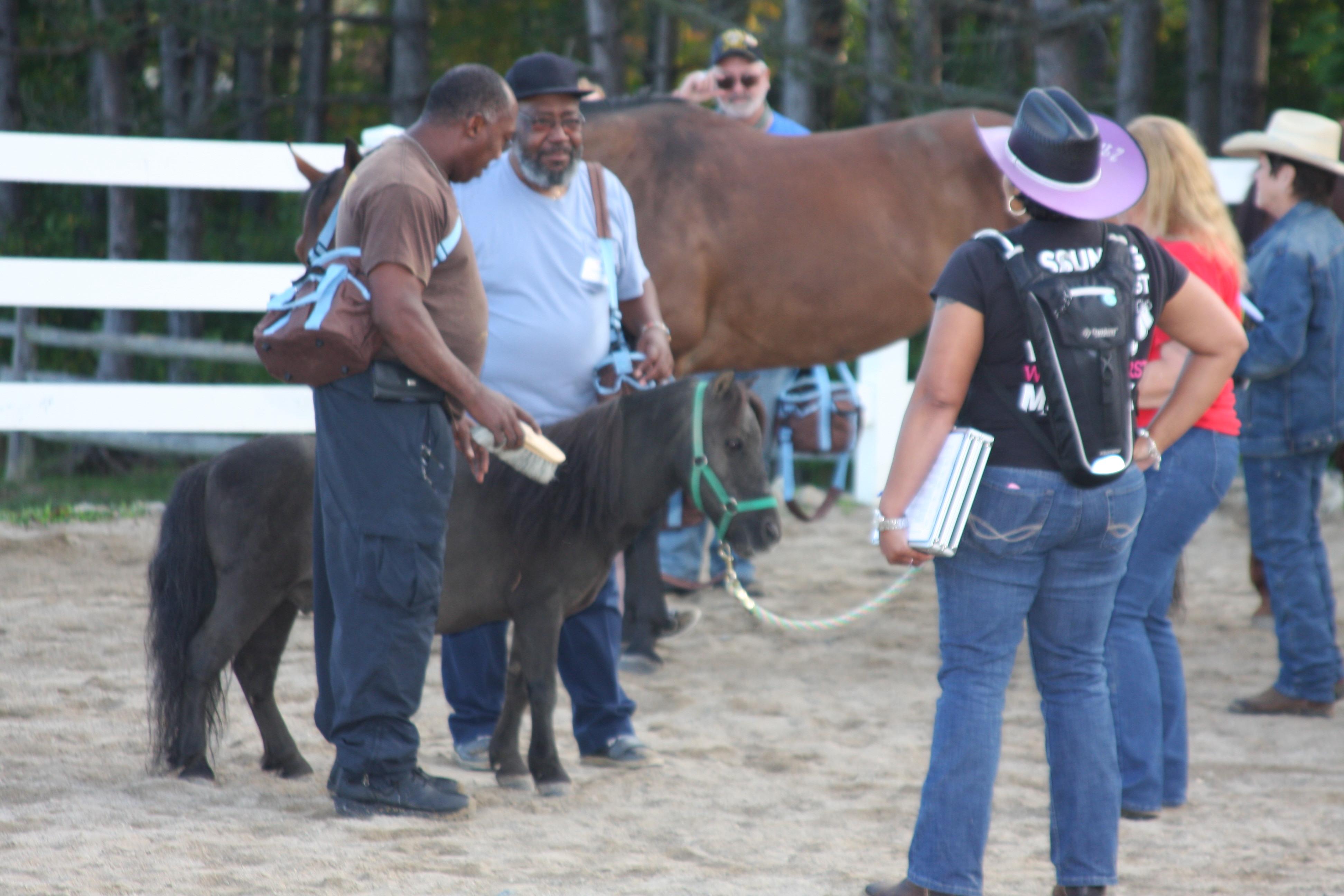 Photo 9 from Operation Horses and Heroes