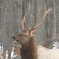 Photo 9 from Nature Abounds