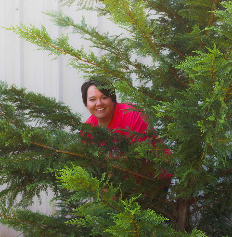 Photo 2 from TENNESSEES COMMUNITY ASSISTANCE CORPORATION