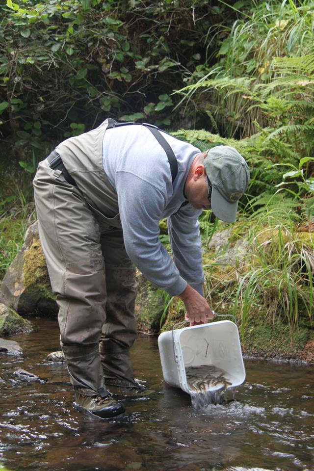 Photo 4 from TILLAMOOK ESTUARIES PARTNERSHIP