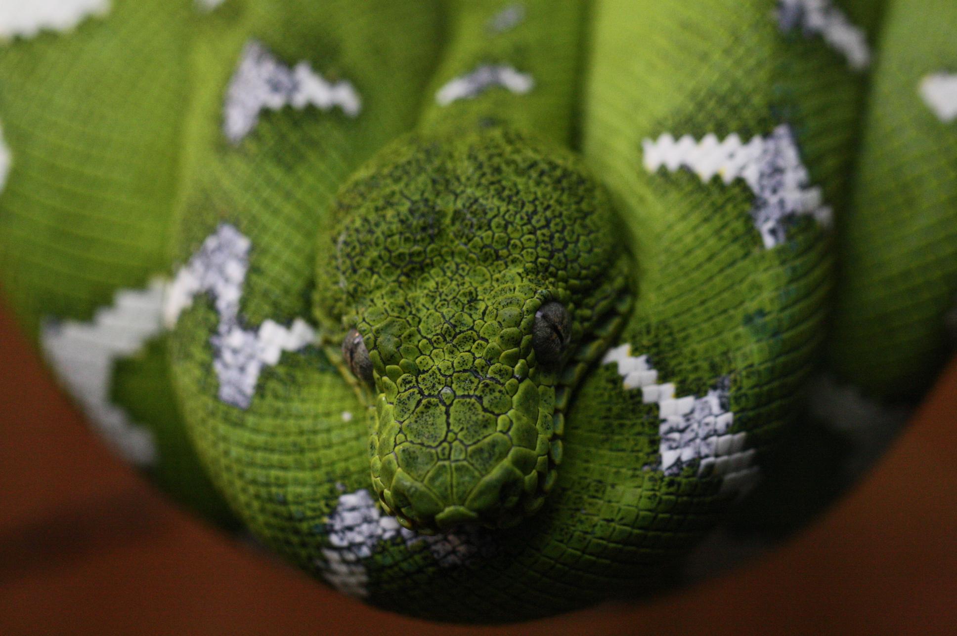 Photo 3 from Nashville Zoo