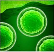 Photo 1 from Needful Provision, Inc.